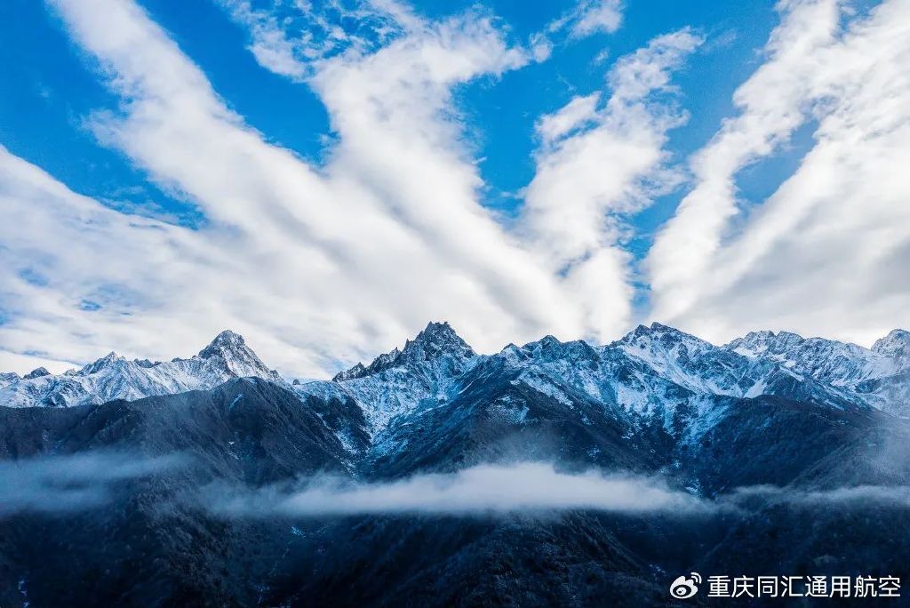 张桦.jpg